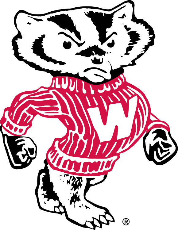 Wisconsin Badgers 1970-2003 Secondary Logo diy iron on heat transfer